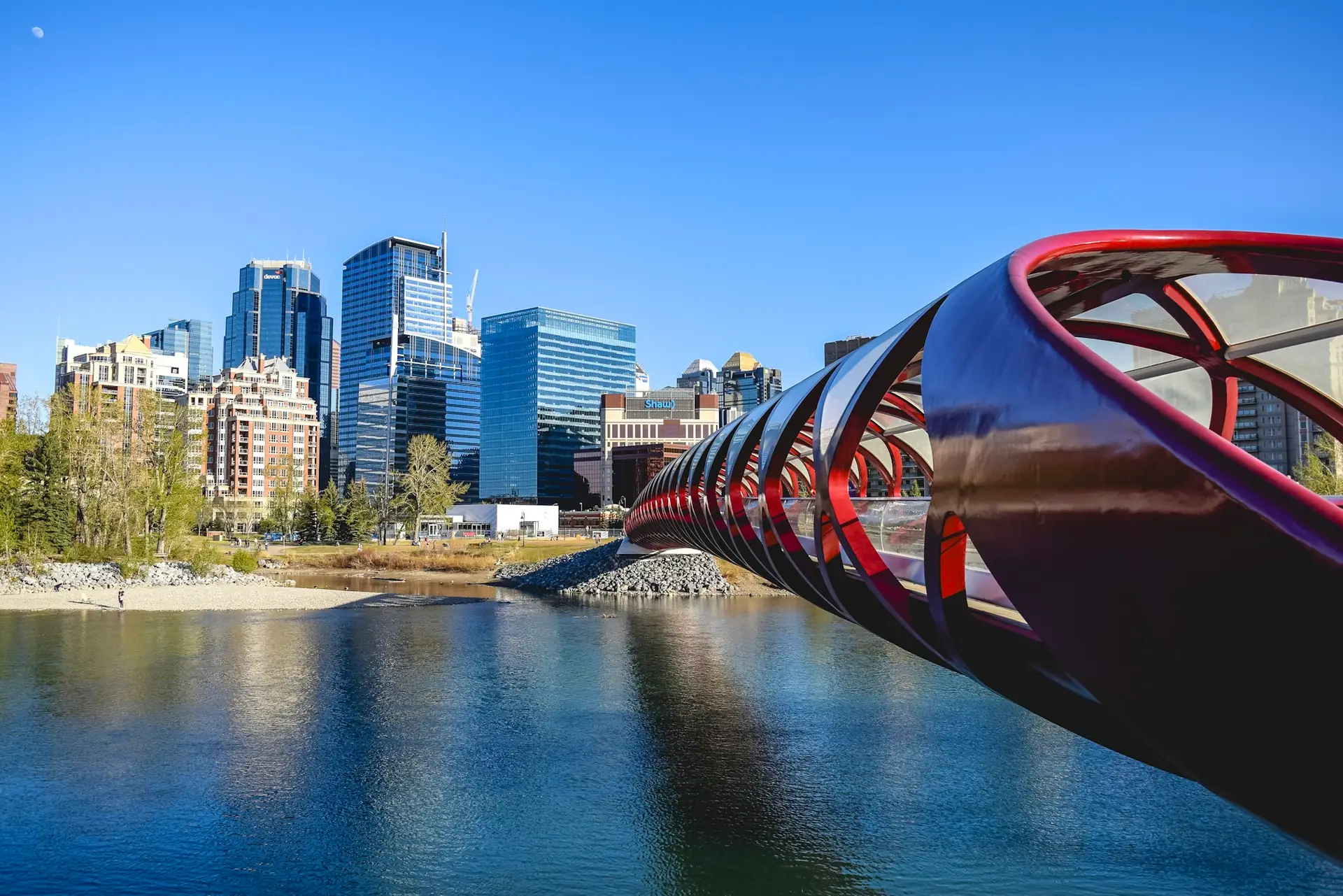 The Calgary skyline